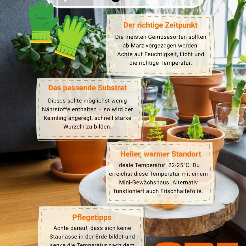 638130960_1400498132095585_3533752697252871450_n