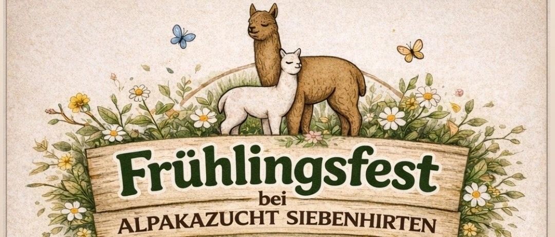 Plakat für das Frühlingsfest bei Alpakazucht Siebenhirten am 25. und 26. April 2026. Der Eintritt ist frei. Aktivitäten für Kinder umfassen eine Karussellfahrt, Basteln und Malen sowie ein Pflanzen-Picknick am Samstagnachmittag. Zusätzliche Aktivitäten sind eine große Tombola, eine Alpaka-Boutique und Essen und Getränke. Pferdefahrten sind jede volle Stunde ab 11 Uhr verfügbar.