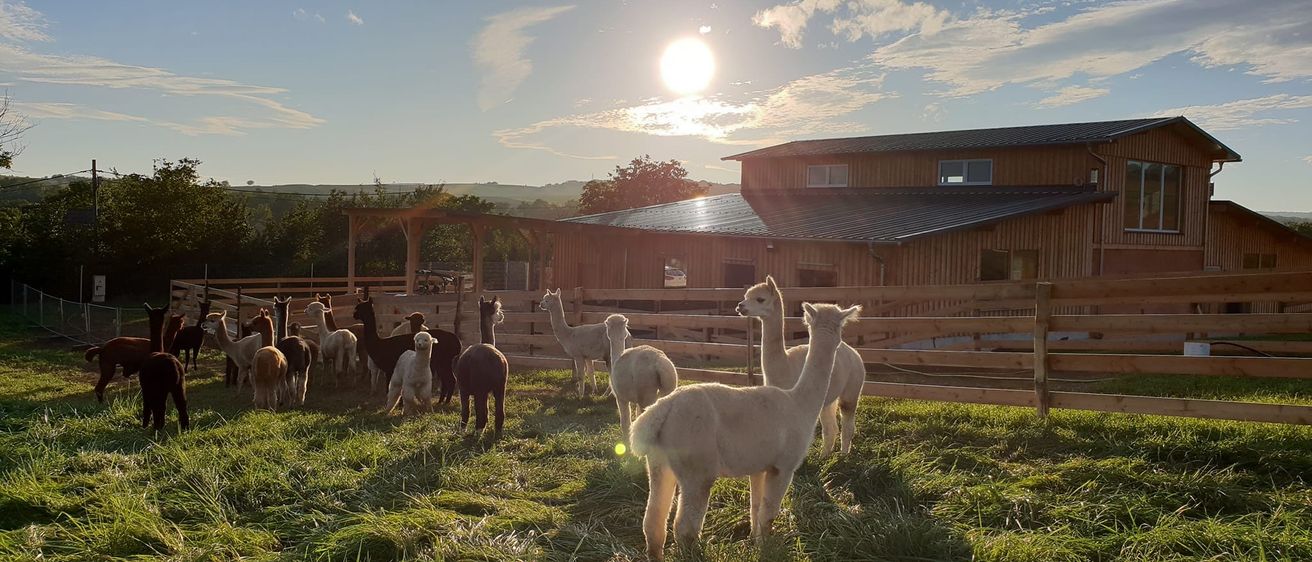 Bild enthält, Nature, Outdoors, Shelter, Countryside, Ranch, Rural, Sky, Grass, Field, Grassland