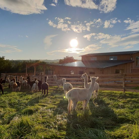 Bild enthält, Nature, Outdoors, Countryside, Ranch, Rural, Shelter, Sky, Field, Grassland, Grass