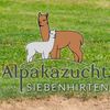 Alpakazucht Siebenhirten-Logo