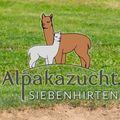Alpakazucht Siebenhirten-Logo