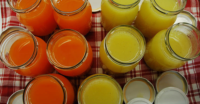 Mehrere Glasgläser mit orangefarbener und gelber Flüssigkeit sind auf einem weißen und roten karierten Tuch angeordnet. Die Gläser sind bis zum Rand gefüllt.