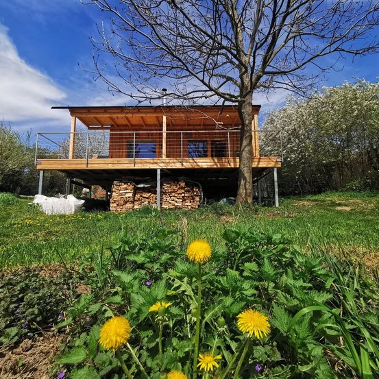 Ein Holzhaus mit Balkon und Schornstein, umgeben von einem üppigen grünen Feld und einem blattlosen Baum.