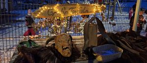 Bild enthält, Person, Play Area, Outdoors, Animal, Bear, Mammal, Wildlife, Wood