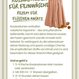 Das Bild zeigt ein Rezept für flüssiges Reinigungsmittel mit Rosskastanien. Es erklärt die Vorteile natürlicher Saponine, wie man das Reinigungsmittel zubereitet und seine Vorteile gegenüber chemischen Reinigungsmitteln.