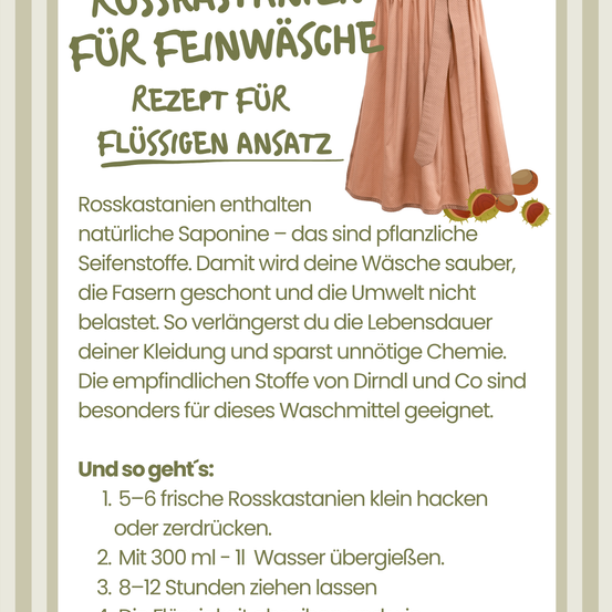 Das Bild zeigt ein Rezept für flüssiges Reinigungsmittel mit Rosskastanien. Es erklärt die Vorteile natürlicher Saponine, wie man das Reinigungsmittel zubereitet und seine Vorteile gegenüber chemischen Reinigungsmitteln.