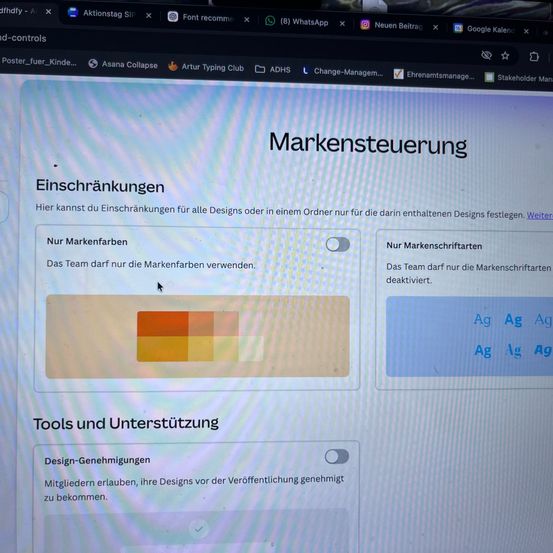 Ein Screenshot zeigt eine Softwareoberfläche für Markenmanagement. Es gibt Bereiche für Farbbeschränkungen und Schriftartenbeschränkungen, die es Teammitgliedern ermöglichen, bestimmte Farben und Schriftarten zu verwenden. Unten befinden sich Werkzeuge und Unterstützungsoptionen.