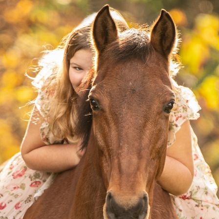 Bild enthält, Animal, Colt Horse, Horse, Mammal, Face, Head, Person, Photography, Portrait