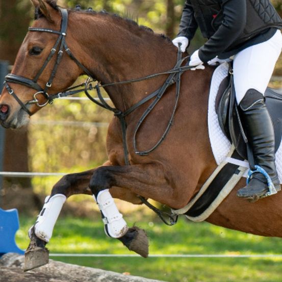 Bild enthält, Animal, Equestrian, Horse, Mammal, Person, Helmet, People, Shoe, Glove, Face