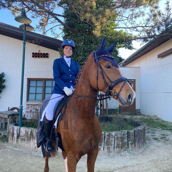 Bild enthält, Animal, Horse, Horseback Riding, Mammal, Person, Adult, Male, Man, Glove, Coat