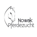 ASVÖ Reitclub Pferdezucht Nowak-Logo