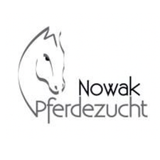 ASVÖ Reitclub Pferdezucht Nowak-Logo