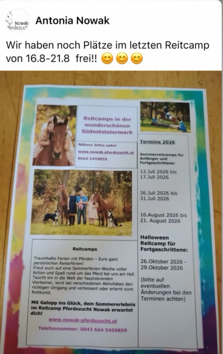 Ein Flyer, der Reitcamps in der wunderschönen Region Südsteiermark, Österreich, bewirbt. Er zeigt ein Foto einer Frau, die ein Pferd reitet, und listet verschiedene Camp-Termine und Aktivitäten auf.