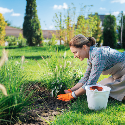 Eine Frau in einem karierten Hemd und orangefarbenen Handschuhen kniet auf dem Rasen und pflanzt eine Blume, ein weißer Eimer liegt in der Nähe.
