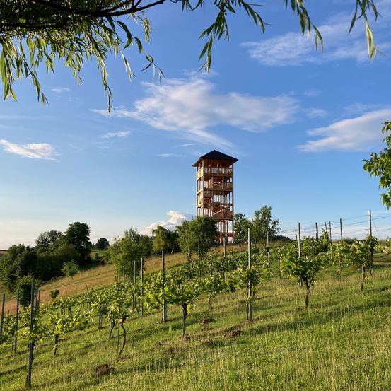 A tall wooden lookout tower stands on a hill above a vineyard under a blue sky with scattered clouds.