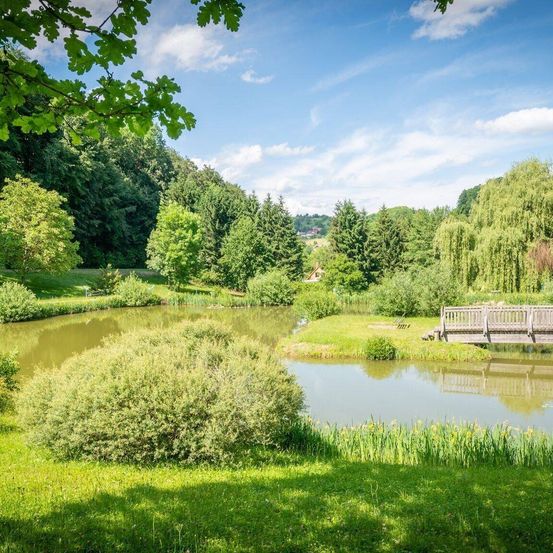 A serene pond surrounded by lush greenery and trees, with a wooden bridge on the right side. The sky is clear with scattered clouds.
