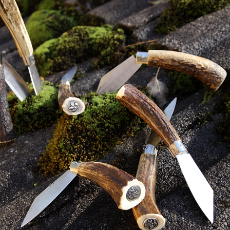 v1_migrated_image_92788574