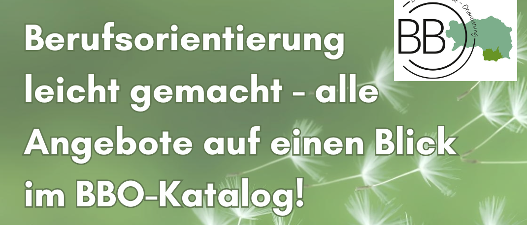 Grafik_BBO-Katalog_final2