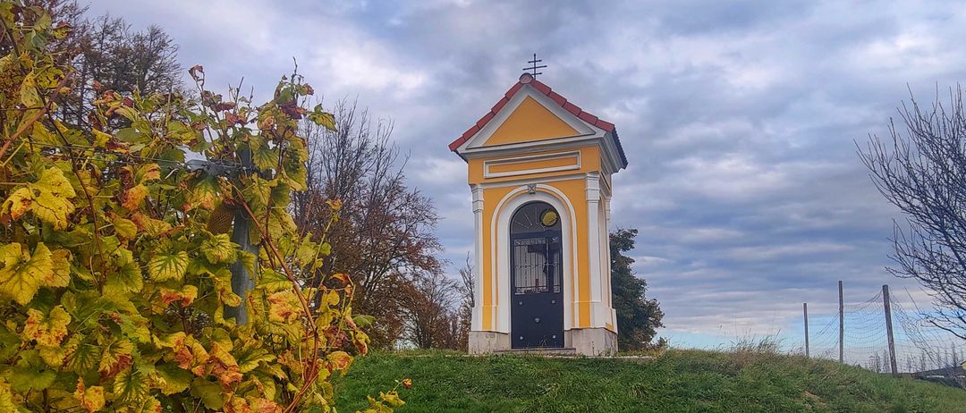 Bild enthält, Leaf, Grass, Tree, Outdoors, Vegetation, Nature, Scenery, Tree Trunk, Shelter, Autumn