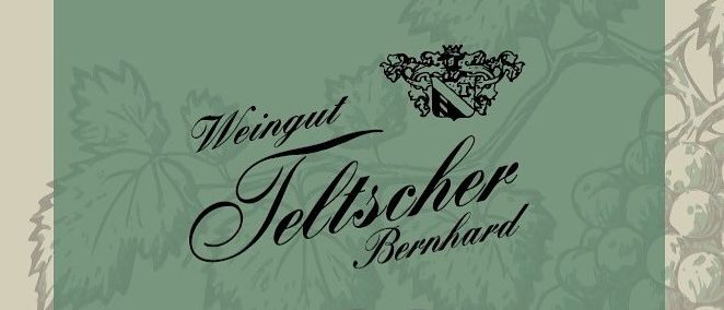 Einladung zum Weinlesefest von Teltscher Bernhard am 12. Juli 2025 um 19 Uhr. Das Plakat hat einen grünen Hintergrund mit Weinblättern und Trauben.