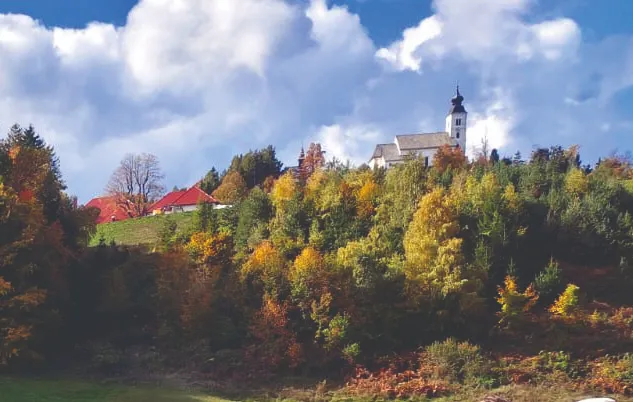 Eine weiße Kirche mit einem hohen Turm steht auf einem Hügel, umgeben von einem Wald mit herbstlich gefärbten Bäumen. Der Himmel ist blau mit flauschigen Wolken.