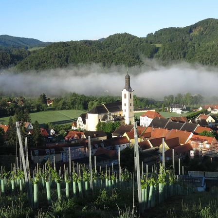 homepageRosenberg1(c)waltl