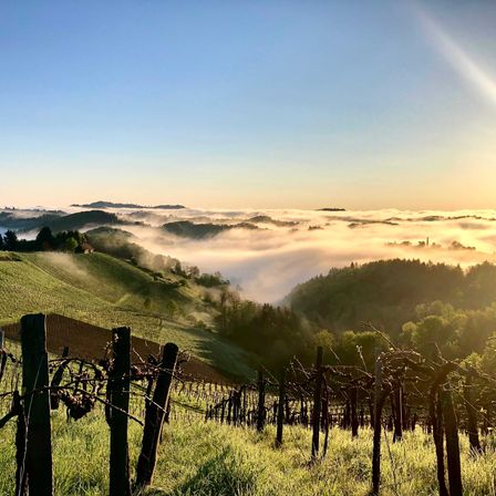 Landschaft(c)zirngast