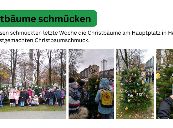 Eine Collage von Bildern zeigt Schüler, die Weihnachtsbäume schmücken. Das obere linke Bild zeigt Schüler, die in einer Gruppe stehen. Das obere rechte Bild zeigt einen Schüler mit einem Rucksack. Das untere linke Bild zeigt Schüler, die einen Baum schmücken.