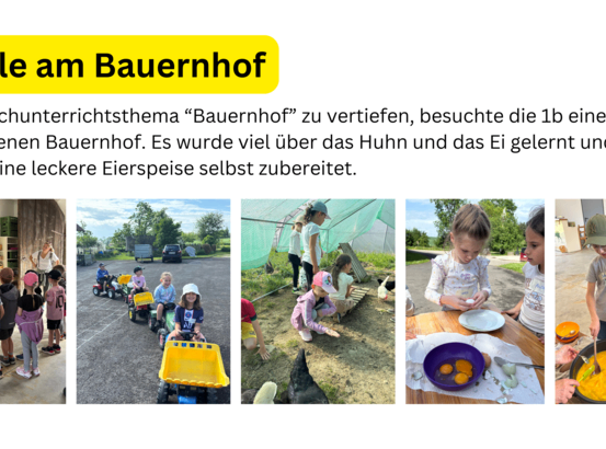 Bilder von Kindern auf einem Bauernhof, die über Eier und Hühner lernen. Ein Bild zeigt ein Mädchen, das Eier kocht.