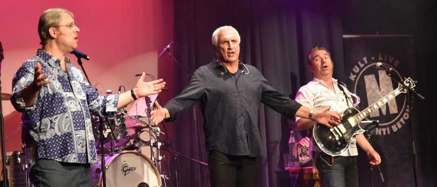 Bild enthält, Concert, Person, Group Performance, Music Band, Stage, Adult, Male, Man, Guitar, Microphone