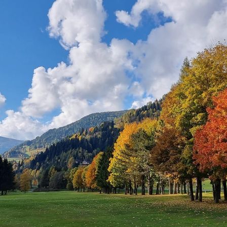 Eine malerische Herbstlandschaft mit einem üppigen grünen Feld, Bäumen mit Herbstlaub und einem blauen Himmel mit weißen Wolken.