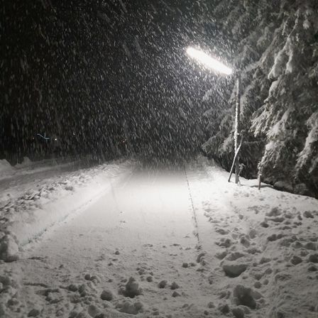 Verschneiter Weg bei Nacht mit starkem Schneefall und Kiefern an den Seiten, beleuchtet von einer Straßenlampe.