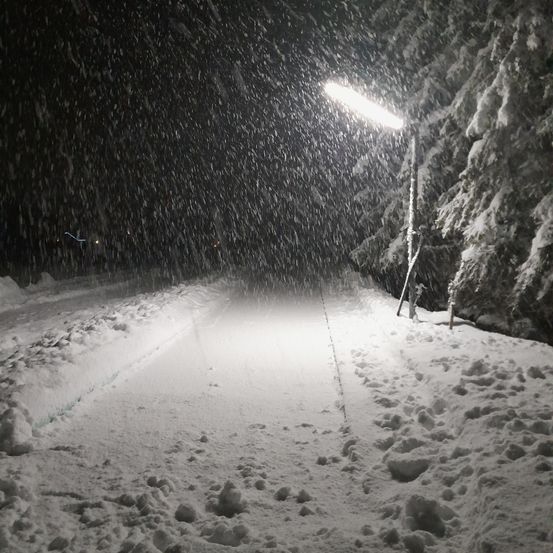 Verschneiter Weg bei Nacht mit starkem Schneefall und Kiefern an den Seiten, beleuchtet von einer Straßenlampe.