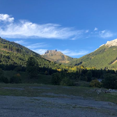 Eine malerische Ansicht einer Gebirgslandschaft mit klarem blauem Himmel, dichten grünen Bäumen und einigen orangefarbenen und gelben Blättern. Der Boden ist felsiger und grasbewachsen.
