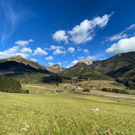 Eine malerische Landschaft mit blauem Himmel und flauschigen Wolken. Mit Bäumen bedeckte Berge und eine grasige Wiese mit einem Hund im Vordergrund. Ein kleines Dorf liegt im Tal unten.