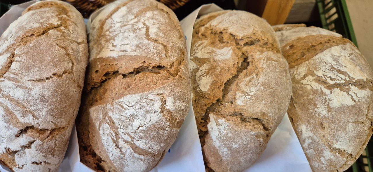 Zwei Laibe rustikales Brot, einer mit einer markanten Musterung auf der Oberseite und der andere mit sichtbarer Mehlbestäubung, liegen nebeneinander auf einem weißen Tuch.