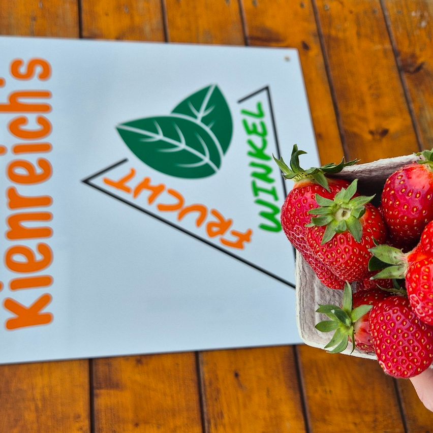 Vor einem Schild mit dem Text 'Kienrechs' und einem Blattlogo wird eine Schüssel mit frischen Erdbeeren gehalten. Das Schild hat einen weißen Hintergrund mit orangefarbenem Text und einem grünen Dreieck.