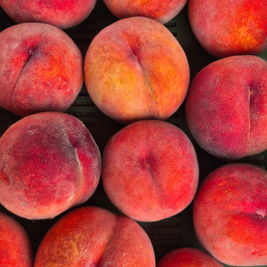A close-up view of several ripe peaches with a mix of red and yellow hues, displayed in a dark background.