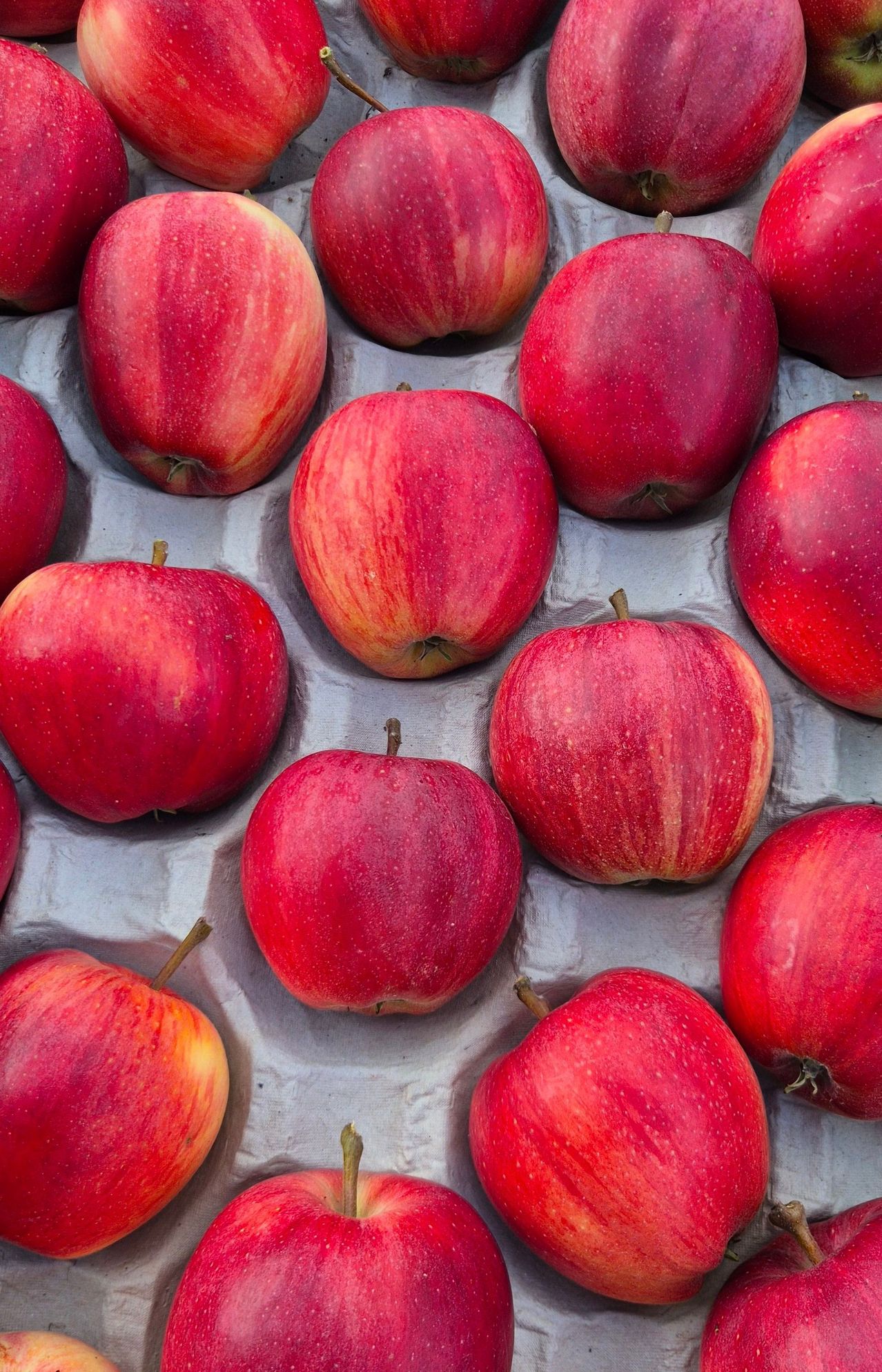 A close-up view of several red apples arranged in a neat pattern on a gray surface. Each apple has a distinct shine and slight variations in color.