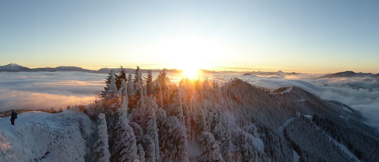 Eine verschneite Berglandschaft mit in Schnee gehüllten Kiefern, die Sonne geht am Horizont unter und taucht die Szene in ein warmes Licht.
