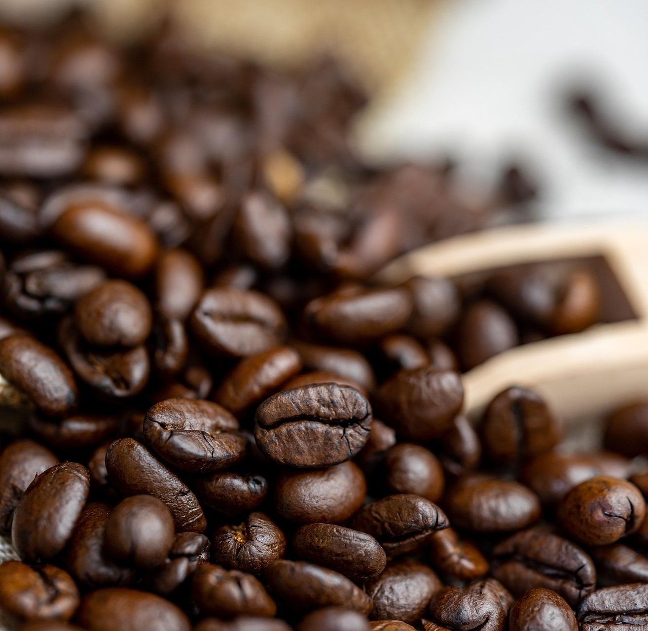 Eine Nahaufnahme eines Haufens frisch geröstete Kaffeebohnen, mit einem hölzernen Löffel darauf.