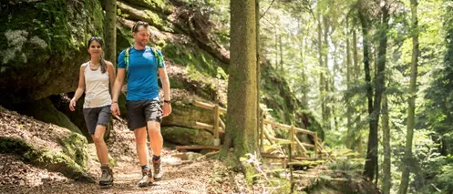 Ein Mann und eine Frau wandern auf einem Pfad im Wald, vorbei an einer Holzbrücke und Felsen.