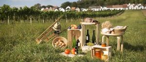 Ein Outdoor-Picknick-Setup in einem Weinberg mit Holzkisten, Flaschen, einer Mütze und Obst. Der Weinberg ist von Häusern und Bäumen umgeben.
