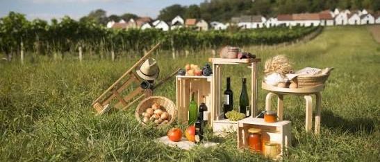 Ein Outdoor-Picknick-Setup in einem Weinberg mit Holzkisten, Flaschen, einer Mütze und Obst. Der Weinberg ist von Häusern und Bäumen umgeben.