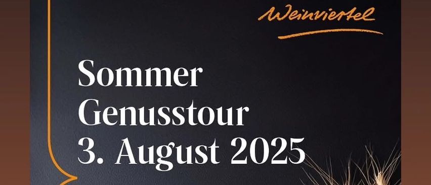 Ein Plakat für die Sommer-Tasting-Tour im Weinviertel am 3. August 2025. Es zeigt einen QR-Code, einen QR-Code und verschiedene Lebensmittel.