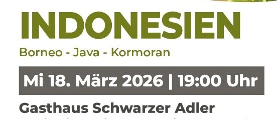 Plakat für einen Reisebericht über Indonesien mit einem Orang-Utan, einem Komodowaran und einem Tempel. Datum: 18. März 2026, Zeit: 19:00 Uhr. Ort: Gasthaus Schwarzer Adler, Ernstbrunn. Freie Spende für den Musikverein Ernstbrunn.
