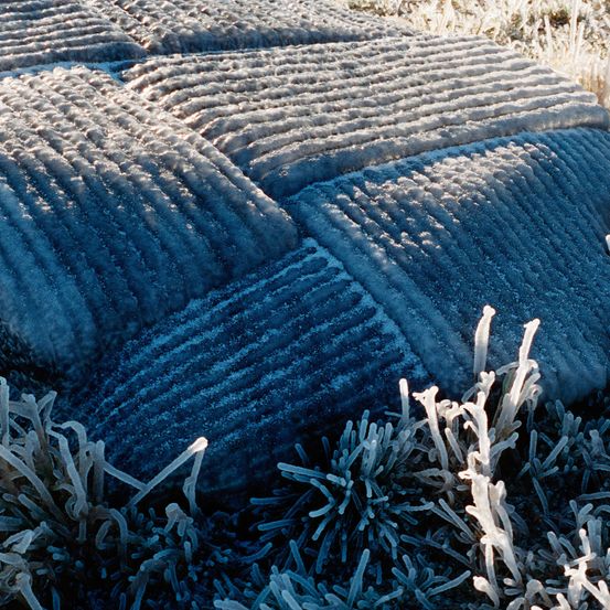 Eine Nahaufnahme von frostbedeckten Bodenfurchen mit komplexen Frostmustern und eisigen Stacheln, die aus dem Boden ragen.