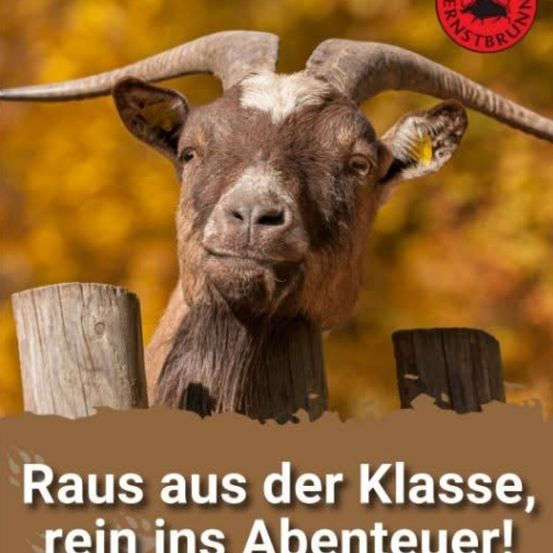 Eine Ziege mit großen Hörnern lehnt sich gegen einen Holzzaun, mit einem verschwommenen Herbsthintergrund. Das Bild hat ein rotes Logo und Textüberlagerung.