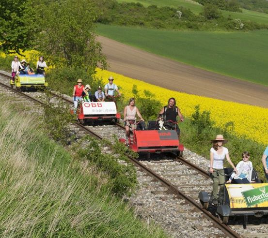 Eine Gruppe von Menschen fährt mit pedalbetriebenen Schienenfahrzeugen auf einer Bahnstrecke, umgeben von grünen Feldern und gelben Blumen.
